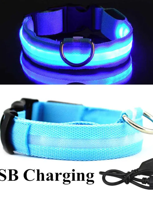 Load image into Gallery viewer, LED Dog Collar
