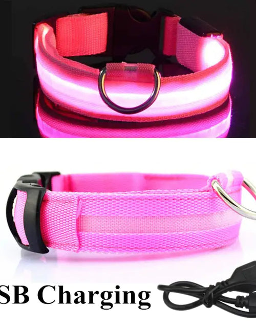 Load image into Gallery viewer, LED Dog Collar
