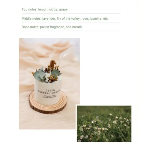 Load image into Gallery viewer, Soy Wax Fragrance Candles
