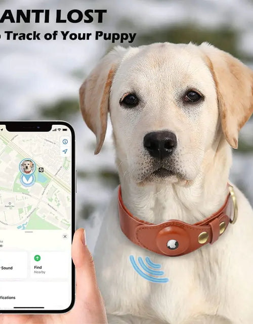 Load image into Gallery viewer, Leather Anti-Lost Dog Collar
