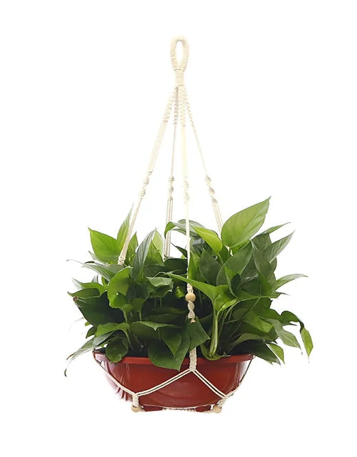 Load image into Gallery viewer, Flowerpot Hanging Net Bag
