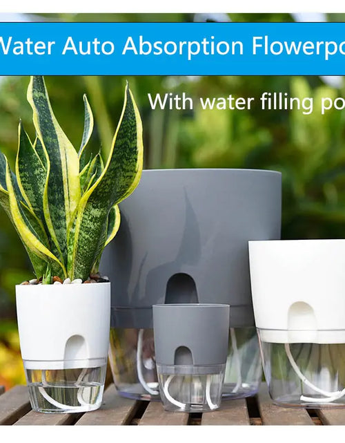 Load image into Gallery viewer, Transparent  Self Watering Flowerpot
