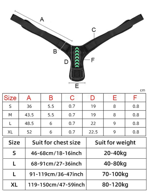 Load image into Gallery viewer, Posture Corrector - PosturePro
