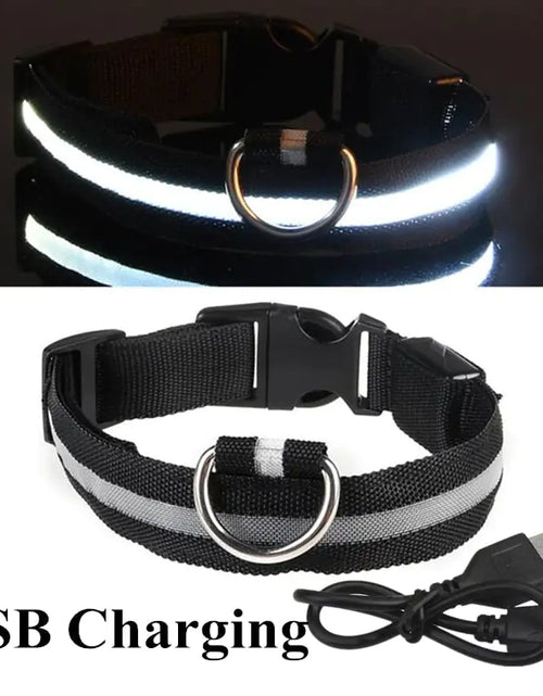 Load image into Gallery viewer, LED Dog Collar
