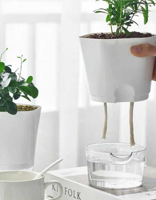 Load image into Gallery viewer, Automatic Water-Absorbing Flowerpot
